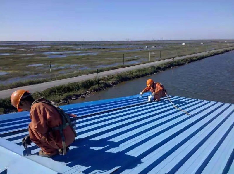 扶沟钢结构屋面漏水原因